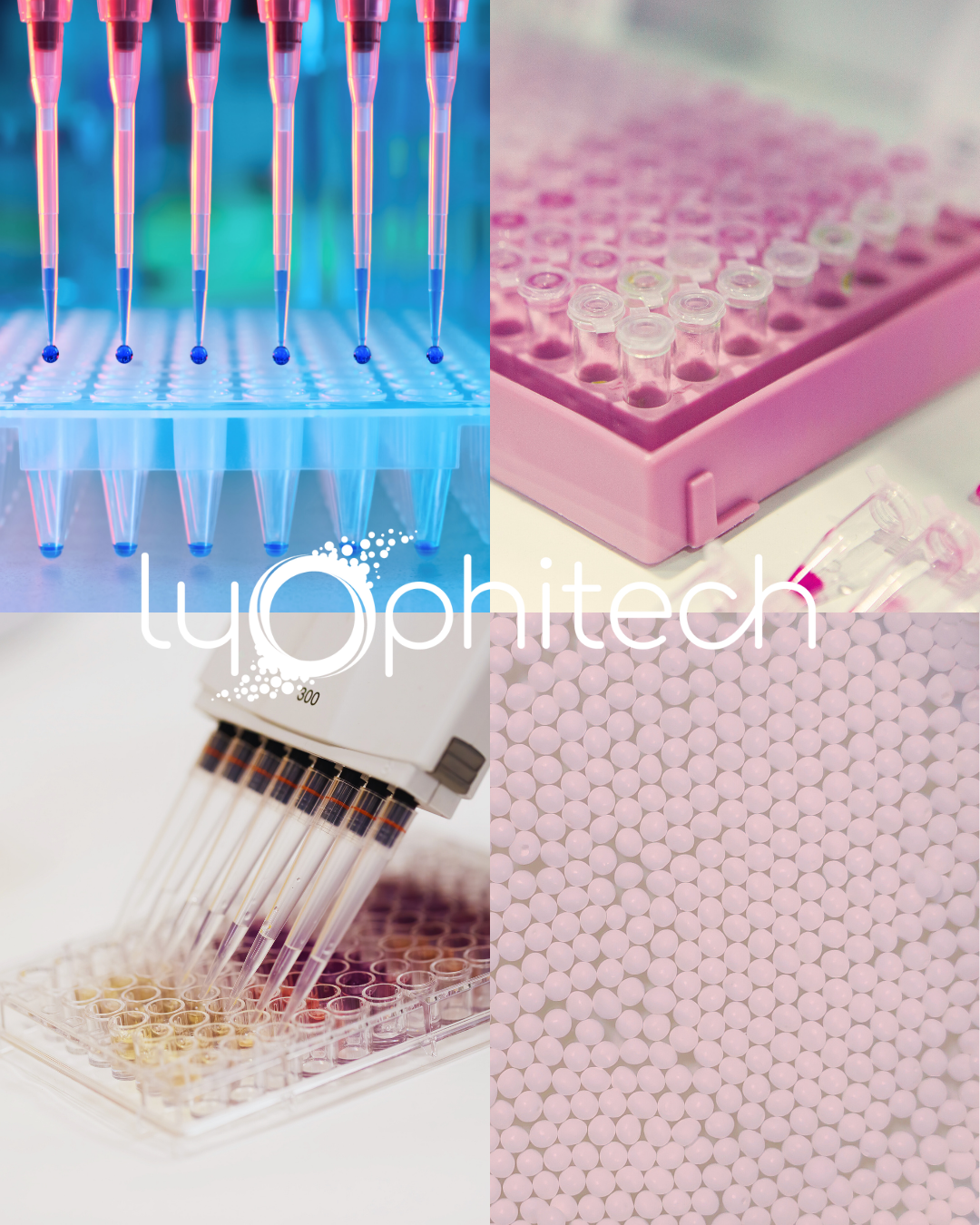 🧬  Diagnostic in vitro : quand la précision ne laisse aucune place au hasard !